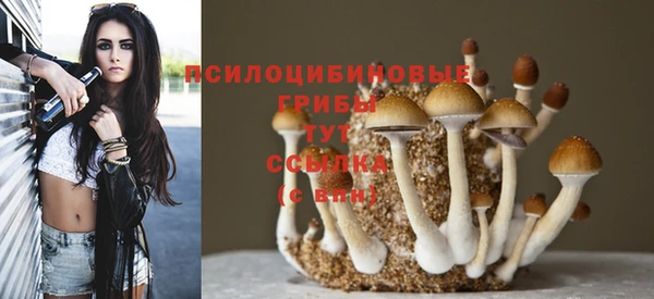 трава Алзамай