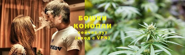 трава Алзамай