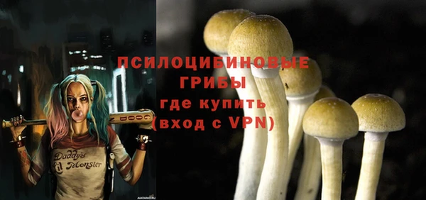 сатива Алексин