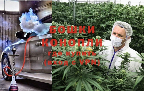 сатива Алексин