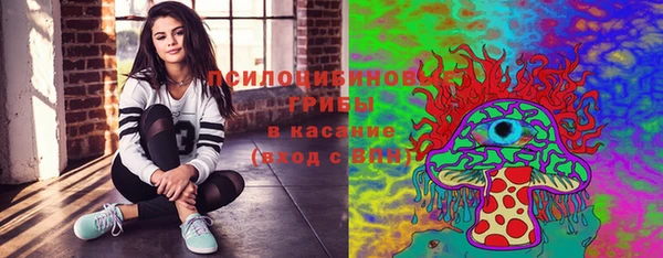 сатива Алексин