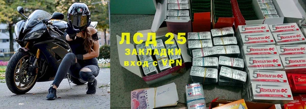 трава Алзамай