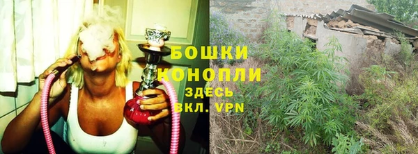 трава Алзамай