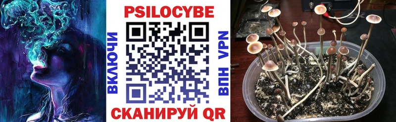 наркошоп  Зерноград  Псилоцибиновые грибы MAGIC MUSHROOMS 